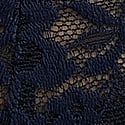 Plava